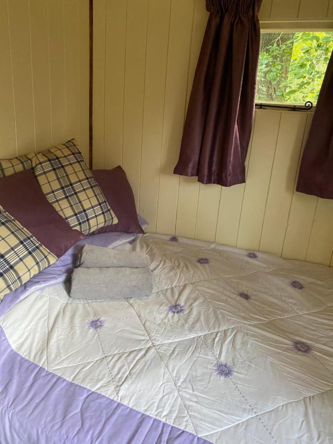 The Shepherd'S Hut - Wild Escapes Wrenbury Off Grid Glamping - Ages 12 And Over Baddiley Exterior foto